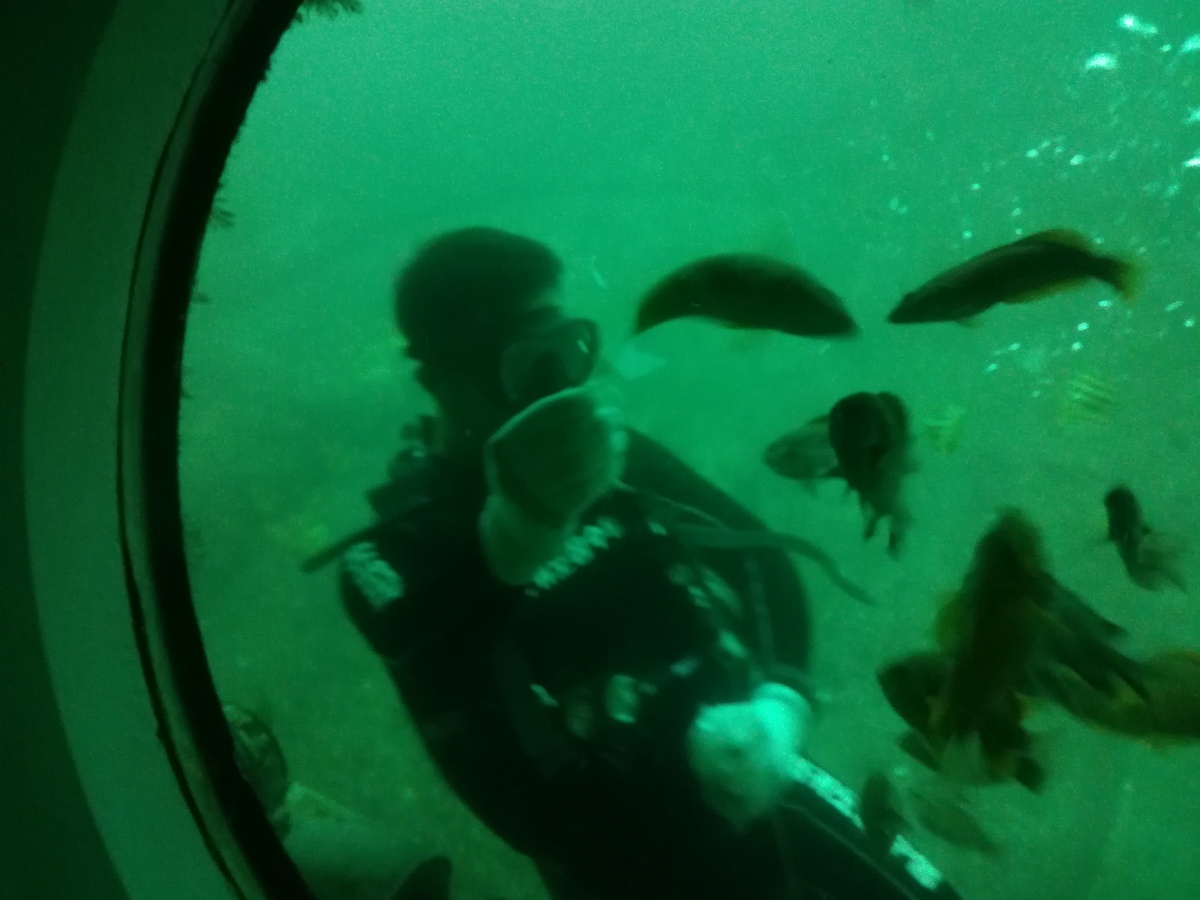 娴庡窞宀涙綔姘磋墖鏃呮父鏀荤暐,娴庡窞宀涙綔姘磋墖鏀荤暐