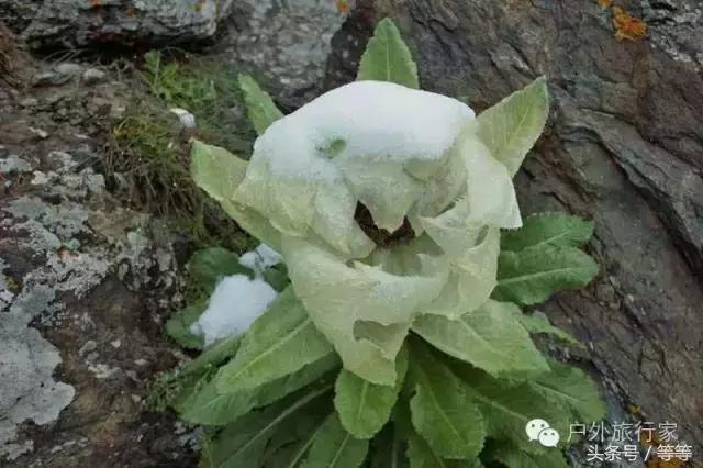 博格达峰登顶需要什么手续,博格达攀登视频教程