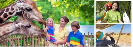 越南富国岛旅游攻略自驾游,越南富国岛五日游旅游景点