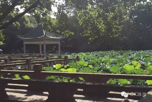 珠海一周游攻略,三天两夜珠海旅游攻略