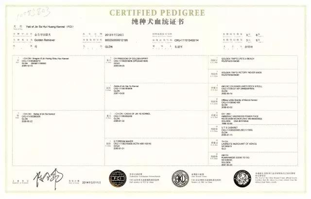 一梦谈狗：房子小不好养狗？帮你挑只博美吧...