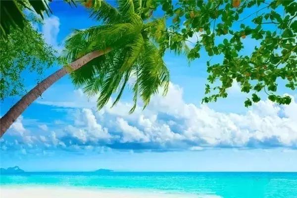 中国十大洗肺圣地,洗肺的地区有哪些