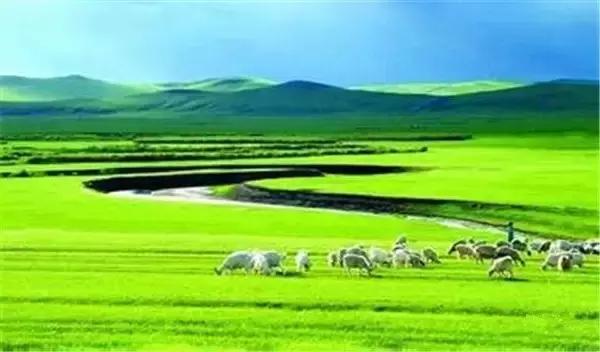 中国十大洗肺圣地,洗肺的地区有哪些