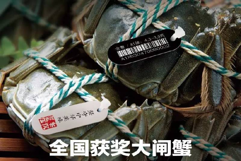 吃了一只大闸蟹的美女被新浪等各大媒体封为“螃蟹女神”