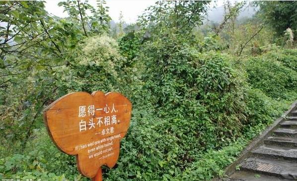 成都国庆悠闲一点到绵竹九龙吧！邻家女孩的感觉！