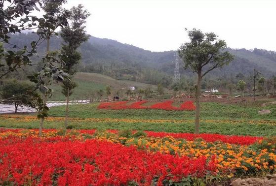 成都国庆悠闲一点到绵竹九龙吧！邻家女孩的感觉！