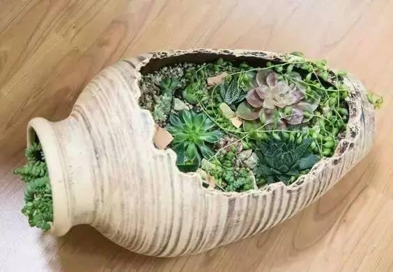 修补花盆的基本方法,怎么修补陶瓷花盆简单