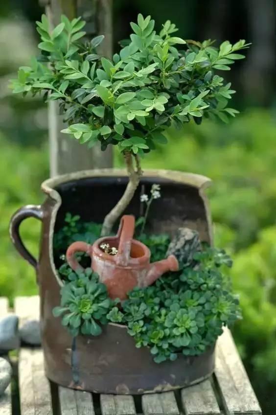 修补花盆的基本方法,怎么修补陶瓷花盆简单