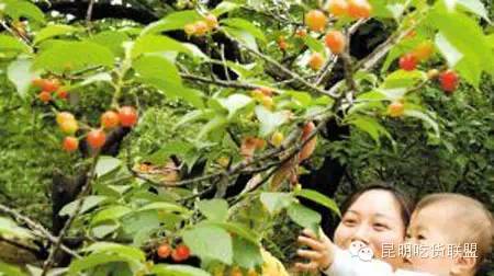 板扎昆明,板扎云南烧烤