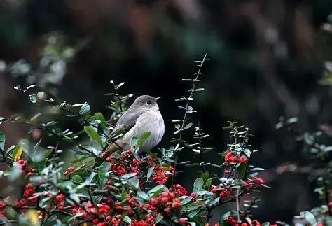 如果你来广元,我才不带你去剑门关嘞!