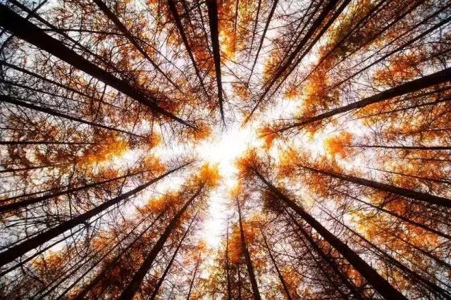 如果你来广元,我才不带你去剑门关嘞!