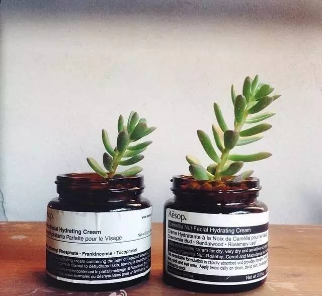 澳洲aesop是什么牌子,澳洲aesop化妆品怎么样