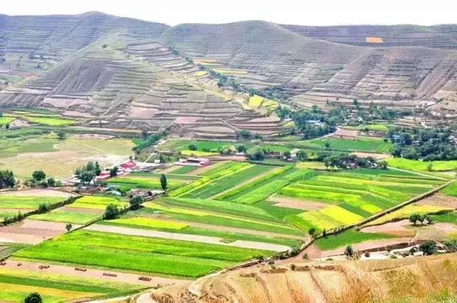 山沟沟里的风景最美,西北山沟沟景区