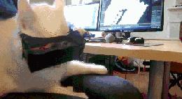 60万买的证如今一文不值武汉近300家网吧正陷“进退两难”