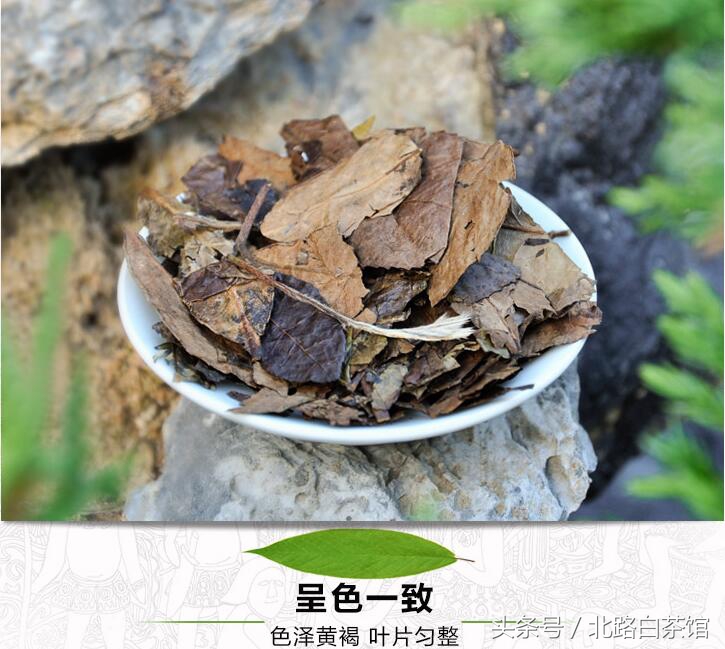 老寿眉白茶值得收藏吗,陈年寿眉高山福鼎白茶