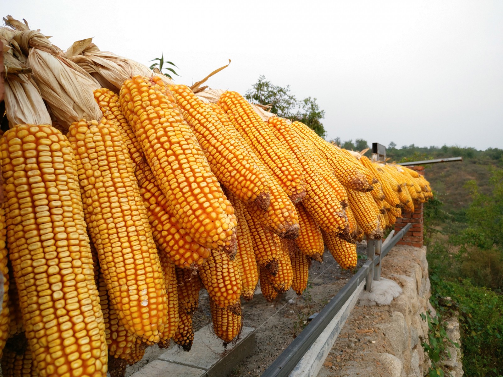 劫中劫豆瓣得分,乐pro3评测