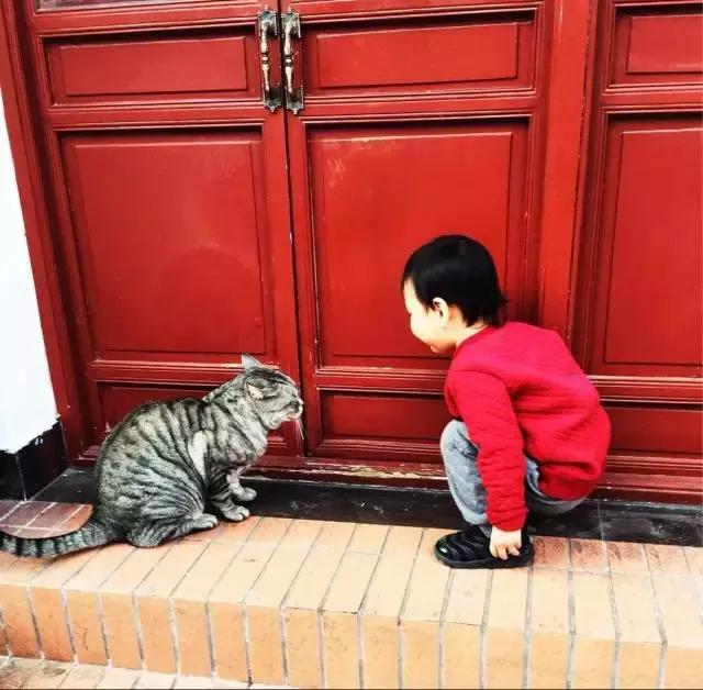 友说|来帝都这些美食没尝过,妄称吃货