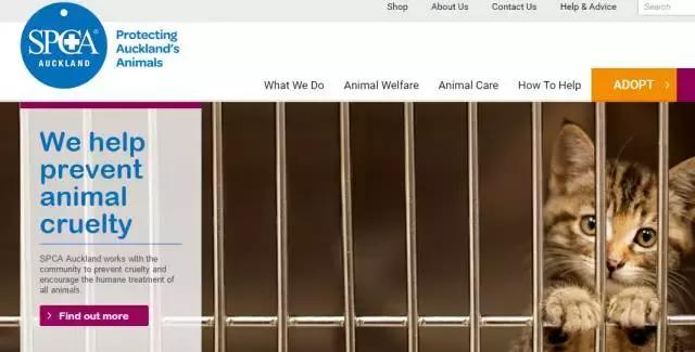 新西兰对动物都很友好吗,新西兰对待动物