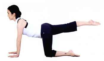 3个简单动作修饰腿部线条,帕梅拉10分钟腿部拉伸拉长腿部