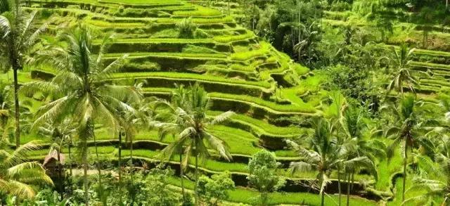 十一怎么玩最省钱,十一怎么旅游省钱