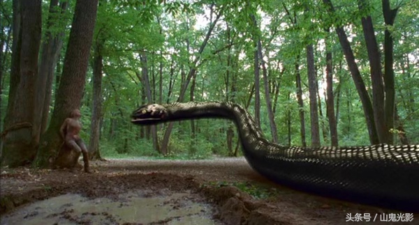 十部顶级巨蟒,盘点不同系列的巨蟒