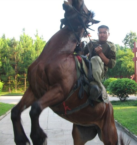 横店跑龙套路,横店龙套悲惨生活