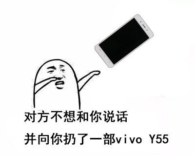 vivo新品千元,vivoy55新品