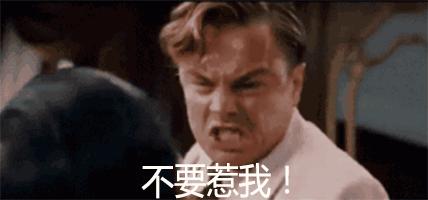 养一只荷兰猪需要花多少钱,养两只荷兰猪一个月需要多少钱