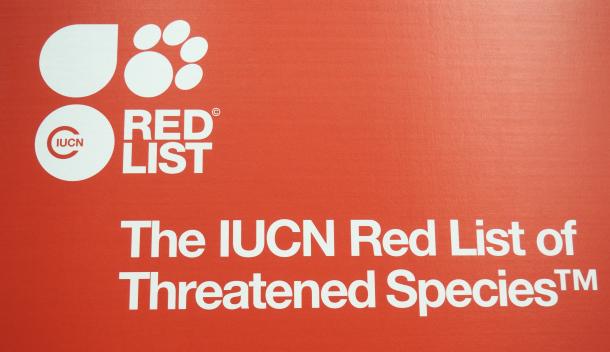 公益报道​|从肯尼亚山脉的草药到越南丛林的穿山甲