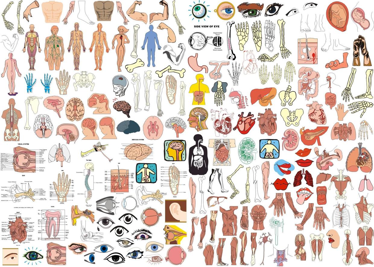 看看手术视频,震撼一把自己