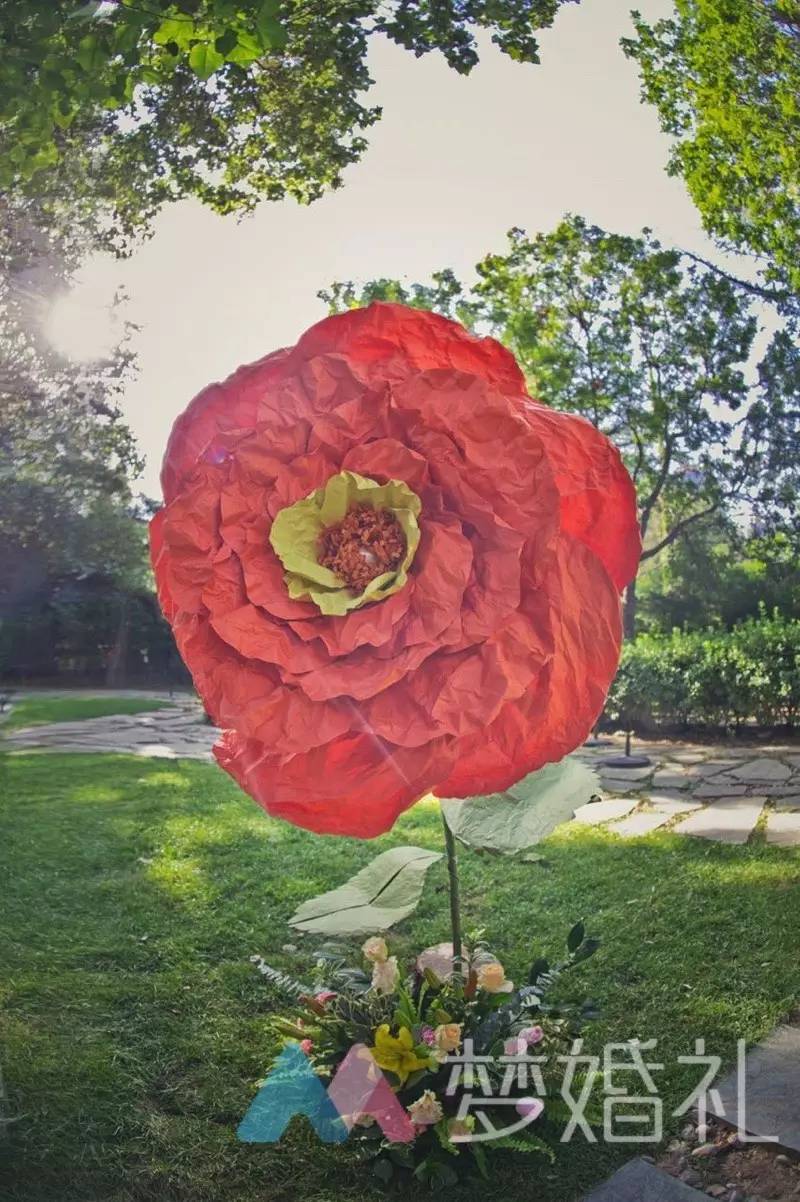 这场还原“暮光之城”的波西米亚婚礼，一只心机柯基成功抢镜