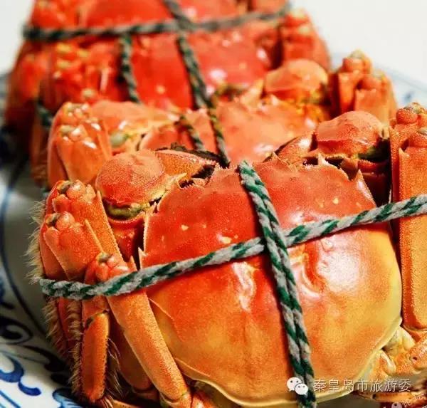 秦皇岛重阳,九九重阳节河北吃什么