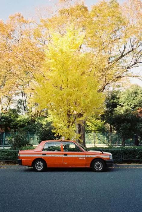 她了解关于东京的一切，并且想要告诉你
