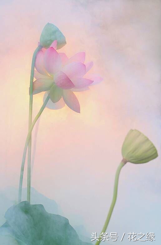 有心跳的生活,美景尽在眼下