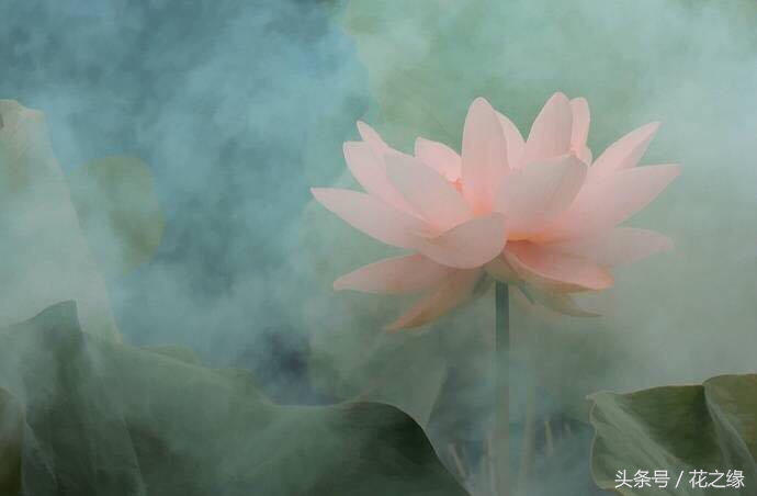 有心跳的生活,美景尽在眼下