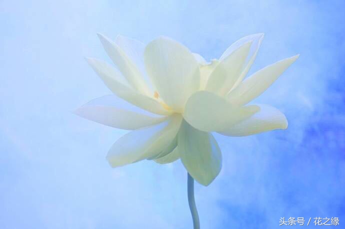 有心跳的生活,美景尽在眼下