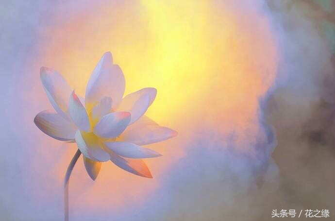 有心跳的生活,美景尽在眼下