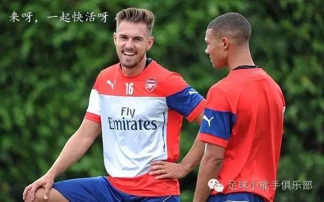 郁金香vs德国,郁金香战争