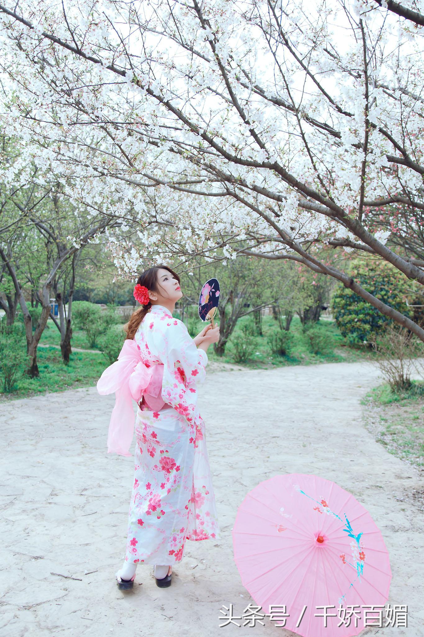 和服樱花日本,日本樱花美景和服