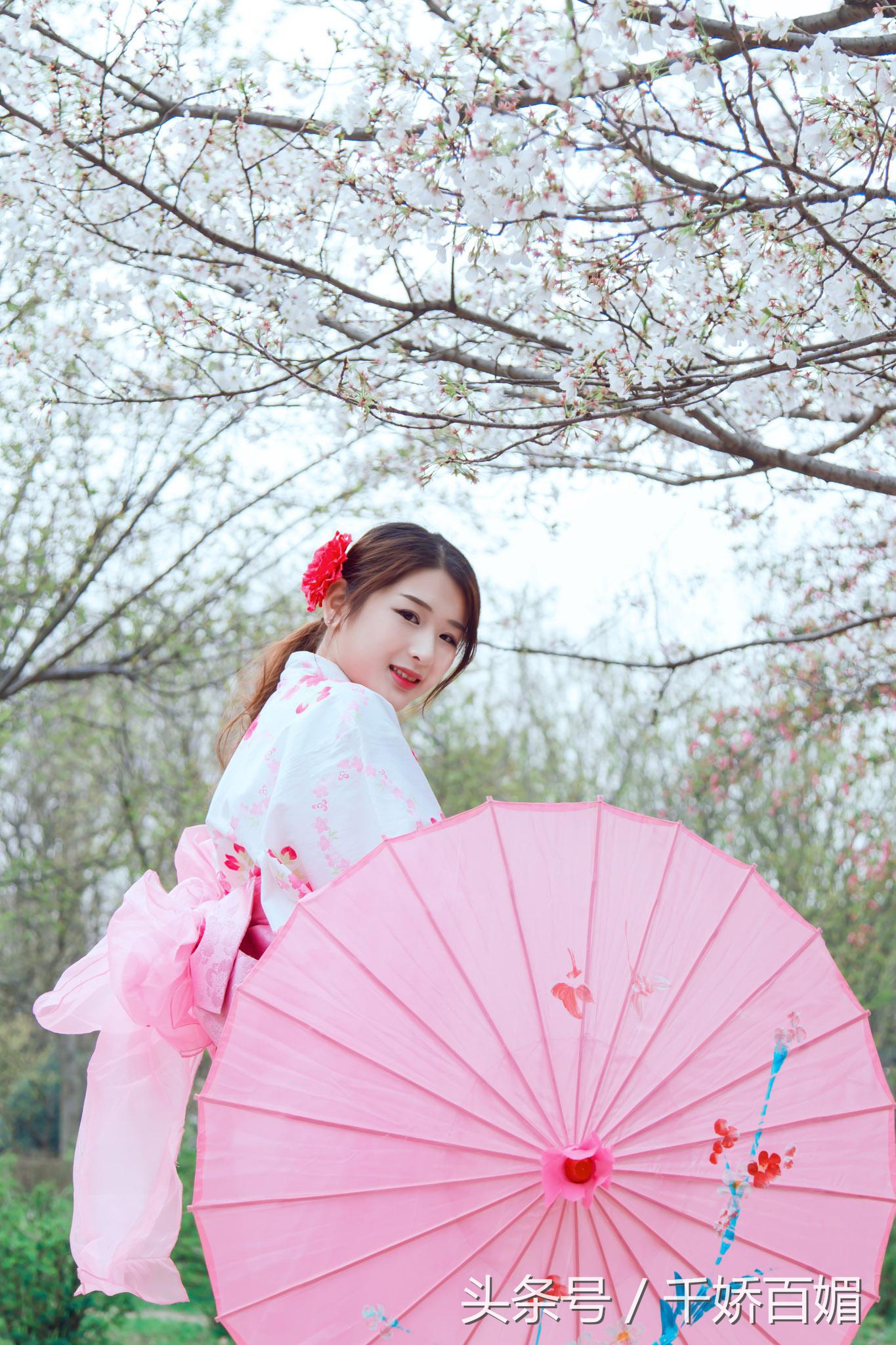 和服樱花日本,日本樱花美景和服