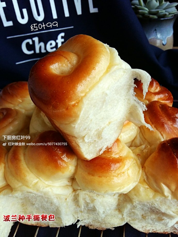 拉丝波兰种面包的做法,波兰种柔软小餐包简单做法