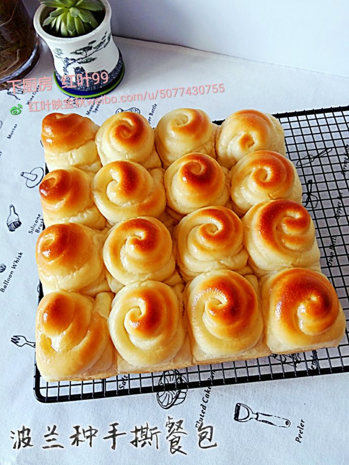 拉丝波兰种面包的做法,波兰种柔软小餐包简单做法