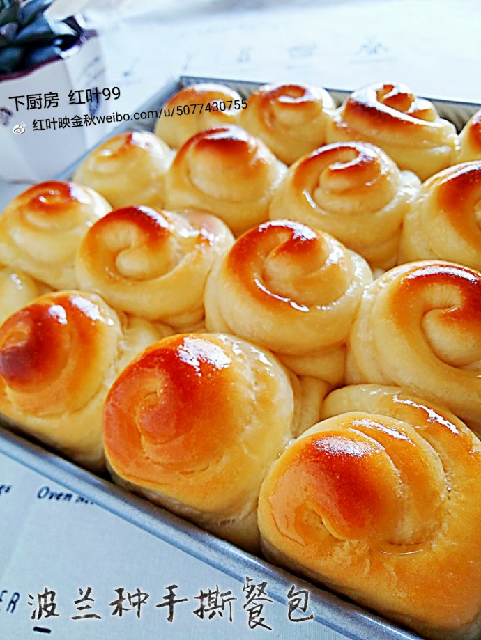 拉丝波兰种面包的做法,波兰种柔软小餐包简单做法