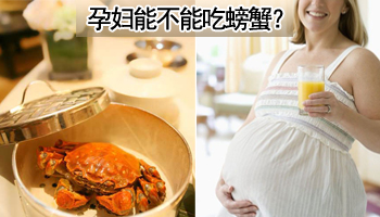 孕妇能不能吃螃蟹饭呢,孕妇可以吃螃蟹吗视频讲解教程