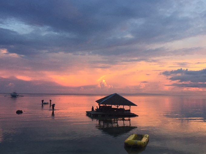 菲律宾潜水攻略 (菲律宾潜水游记)