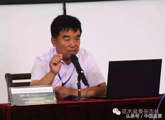 哪些野草适合微型盆景,小品盆景和微型盆景有区别吗