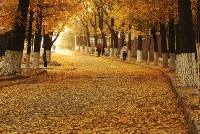 五一假期最值得去的十大冷门景点,2019年十一长假喀纳斯人山人海