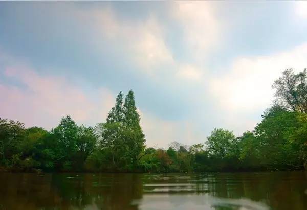 西溪湿地，真的不像表面那么简单！现在就带你去看