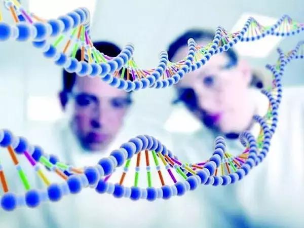 小苏打真的能饿死癌细胞吗,小苏打饿死癌细胞用法