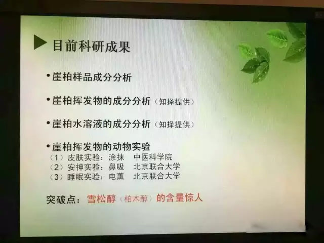 来吧来吧，崖柏吃、喝、抽、睡皆可以！